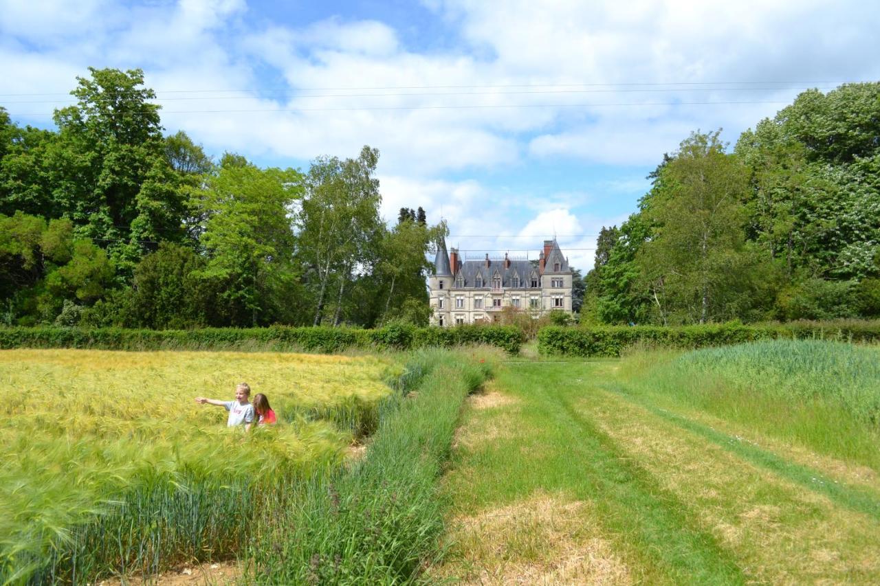 ホテル Chateau Le Boisrenault Buzançais エクステリア 写真